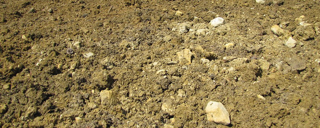 picture of of clay-limestone soil