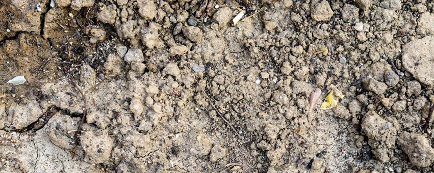 picture of chalk soil