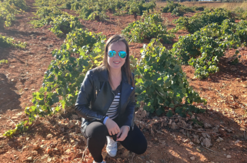 moi assis sur le sol d'un vignoble