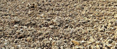 picture of gravel soil