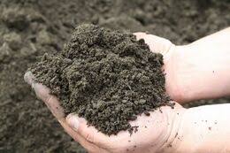 picture of of clay-loam soils 