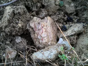 picture of opok soil