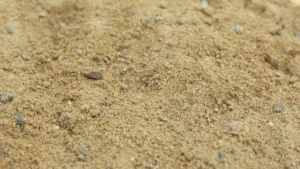 picture of sand soil