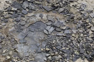 picture of slate/gneiss soil