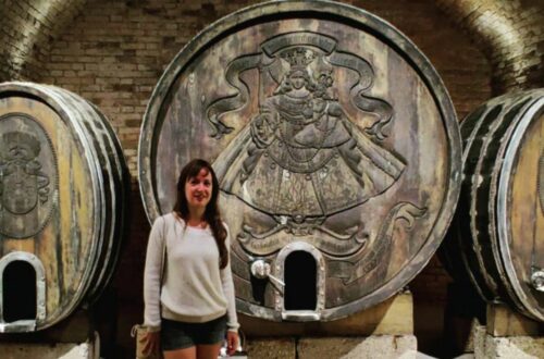 Kamptal wine - picture of me in front of wine casks