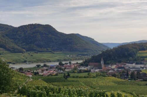 Wachau wine - picture of landscape of Wachau