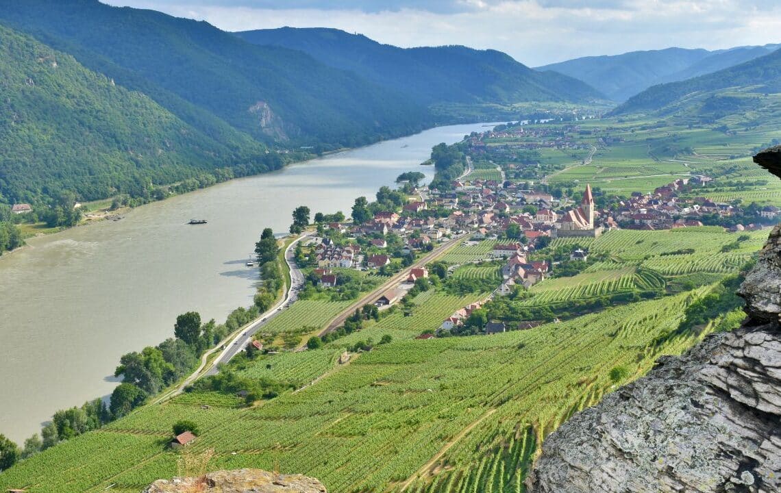 a terraced vineyard from Wachau