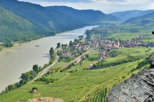 a terraced vineyard from Wachau