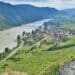 a terraced vineyard from Wachau