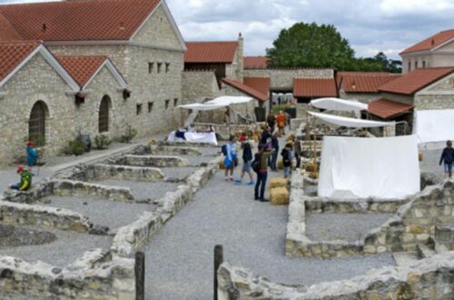 Carnuntum wines - picture of Carnuntum