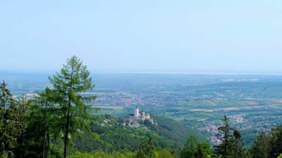 Mittelburgenland wines - landscape of Mittelburgenland