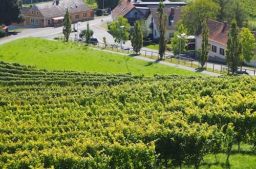 Vulkanland Steiermark wines - picture of landscape of Vulkanland Steiermark