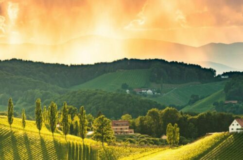 Südsteiermark wines - picture of landscape from Südsteiermark