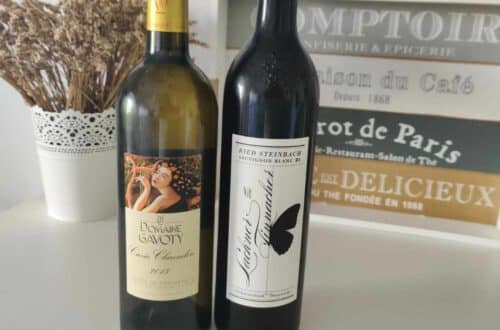 Pourquoi les vins autrichiens ne sont pas aussi connus que ceux d'autres pays - photo de deux bouteilles de vin