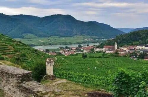 Wachau’s Grüner Veltliner Viticulture Challenges And Solutions - pictue of Wachau landscape