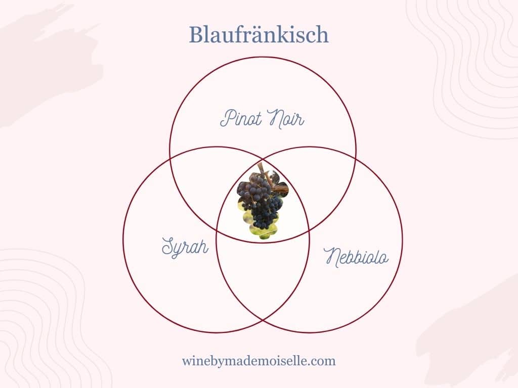 Venn diagram for Blaufränkisch