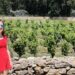 Exploring Côtes de Provence - A guide to the region. Me in a red dress in front of vines