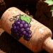 Natural winemaking in Austria - picture of a cork with a grape bunch drawn on it lying on soil