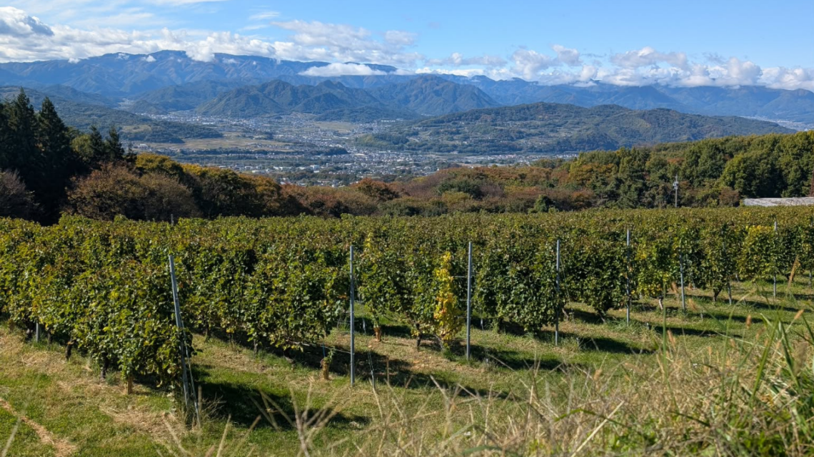 une photo de vignes devant les Alpes japonaises