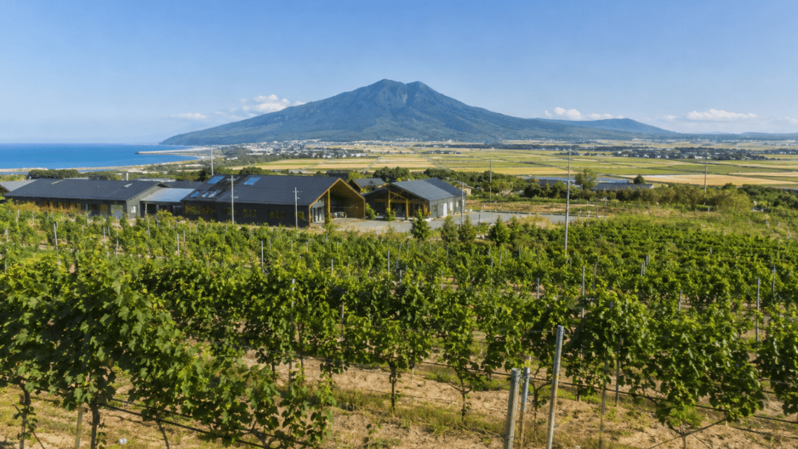 landscape of Niigata wine region