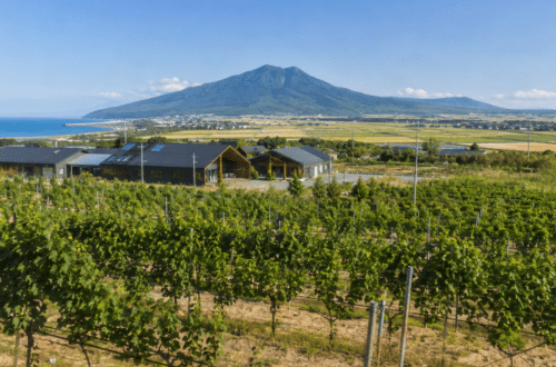 landscape of Niigata wine region